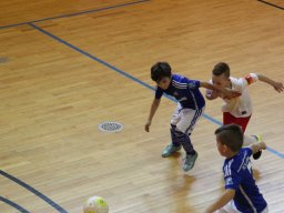 mini-IMG_5450